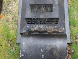 image of grave number 556286